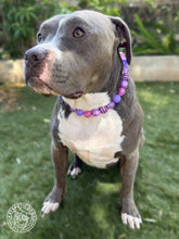 Load image into Gallery viewer, Sugar Plum Glam Bead Collar