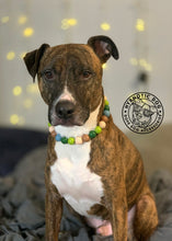 Load image into Gallery viewer, Summer Camp Acrylic Bead Collar