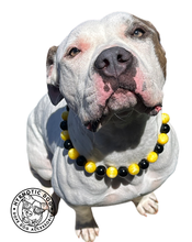 Load image into Gallery viewer, 🏈 Football Team Colors Bead Collar