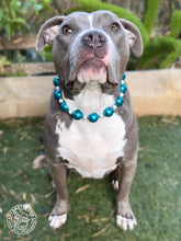 Load image into Gallery viewer, Chunky Teal Frost Bead Collar