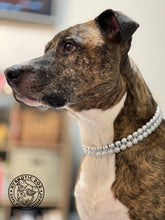 Load image into Gallery viewer, Times Square 🪩  Duplo Collar [Small Dog/Cat Bead Collar]