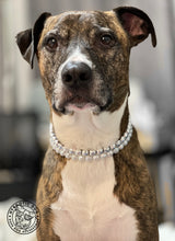 Load image into Gallery viewer, Times Square 🪩  Duplo Collar [Small Dog/Cat Bead Collar]
