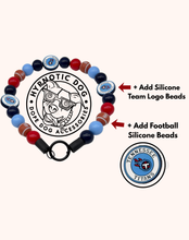Load image into Gallery viewer, Tennessee Titans NFL Inspired 🏈 Bead Collar