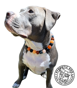 Trick or Treat Bead Collar