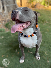 Load image into Gallery viewer, Trick or Treat Bead Collar
