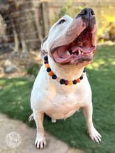 Load image into Gallery viewer, Trick or Treat Bead Collar