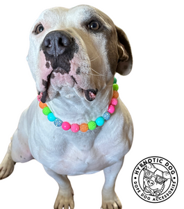 Tropical Punch Bead Collar