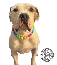 Load image into Gallery viewer, Tropical Rainbow Acrylic Bead Collar