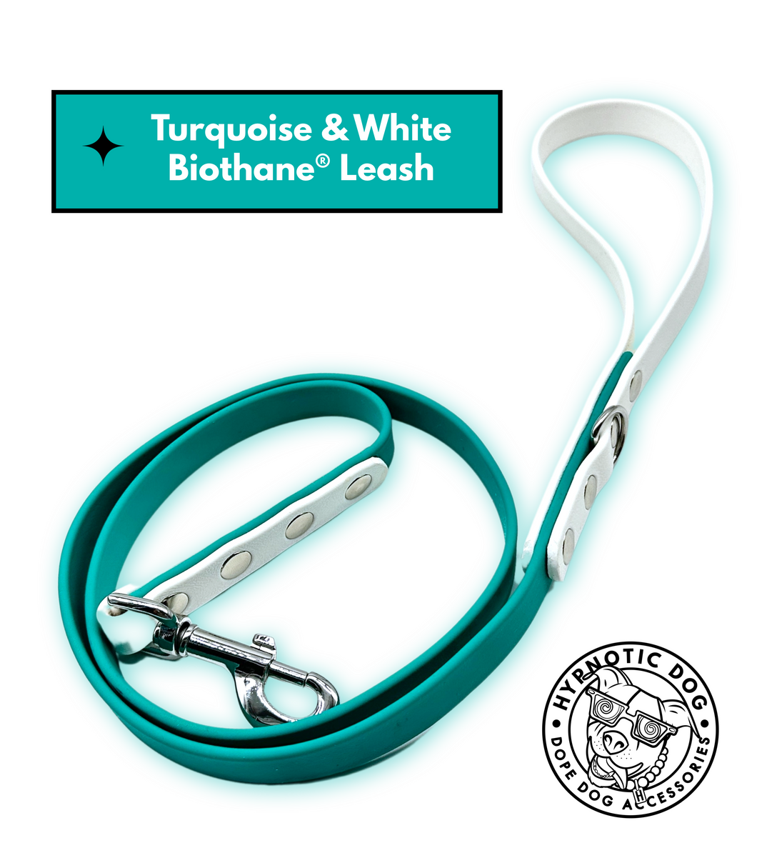 Turquoise & White Biothane Leash ◻️