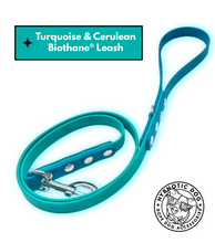 Load image into Gallery viewer, Turquoise &amp; Cerulean Biothane Leash ◻️