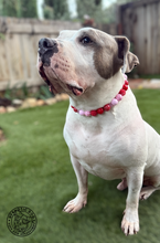 Load image into Gallery viewer, Valentine Crush Bead Collar