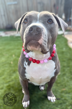 Load image into Gallery viewer, Valentine Crush Bead Collar