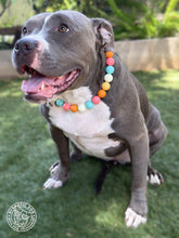 Load image into Gallery viewer, Vanilla Sunset Bead Collar