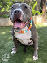 Load image into Gallery viewer, Vanilla Sunset Bead Collar
