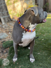 Load image into Gallery viewer, Velvet Autumn Bead Collar