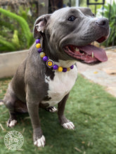 Load image into Gallery viewer, Minnesota Vikings NFL Inspired 🏈 Bead Collar