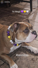 Load image into Gallery viewer, Minnesota Vikings NFL Inspired 🏈 Bead Collar