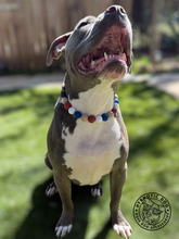 Load image into Gallery viewer, Vintage Americana Bead Collar