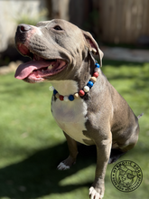 Load image into Gallery viewer, Vintage Americana Bead Collar