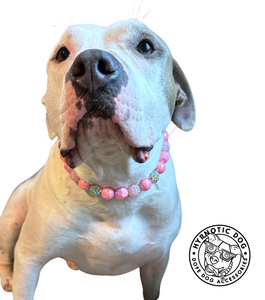 Watermelon Crush Bead Collar