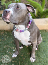 Load image into Gallery viewer, Winter Plum Bead Collar