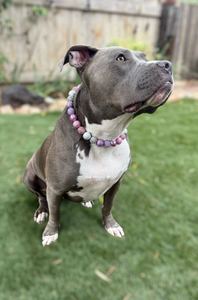 Winter Plum Bead Collar