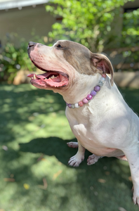 Winter Plum Bead Collar