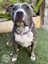 Load image into Gallery viewer, Winter Plum Bead Collar