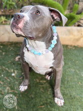 Load image into Gallery viewer, Winter Wonderland ❄️ Bead Collar