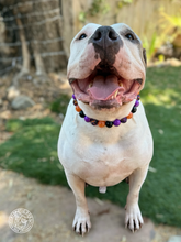 Load image into Gallery viewer, Witchy Bead Collar