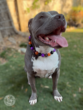 Load image into Gallery viewer, Witchy Bead Collar