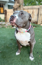 Load image into Gallery viewer, 🌸 Y2K Flowers Bead Collar