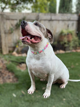 Load image into Gallery viewer, 🌸 Y2K Flowers Bead Collar