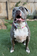 Load image into Gallery viewer, 💗 Y2K Hearts Bead Collar