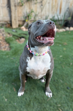 Load image into Gallery viewer, 💗 Y2K Hearts Bead Collar