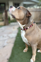 Load image into Gallery viewer, Zen Bead Collar