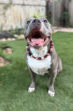 Load image into Gallery viewer, Zen Bead Collar