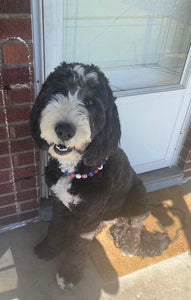 Americana Glam Bead Collar