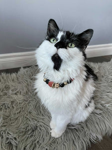 Midnight Safari MINI [Small Dog/Cat Bead Collar]