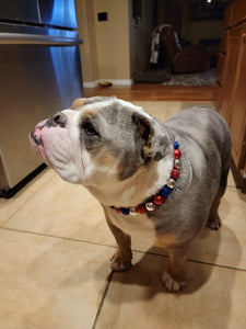 Sparkler 🎇 Bead Collar