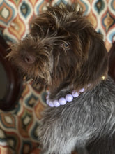 Load image into Gallery viewer, Lavender Rain Acrylic Bead Collar [Scuffed]