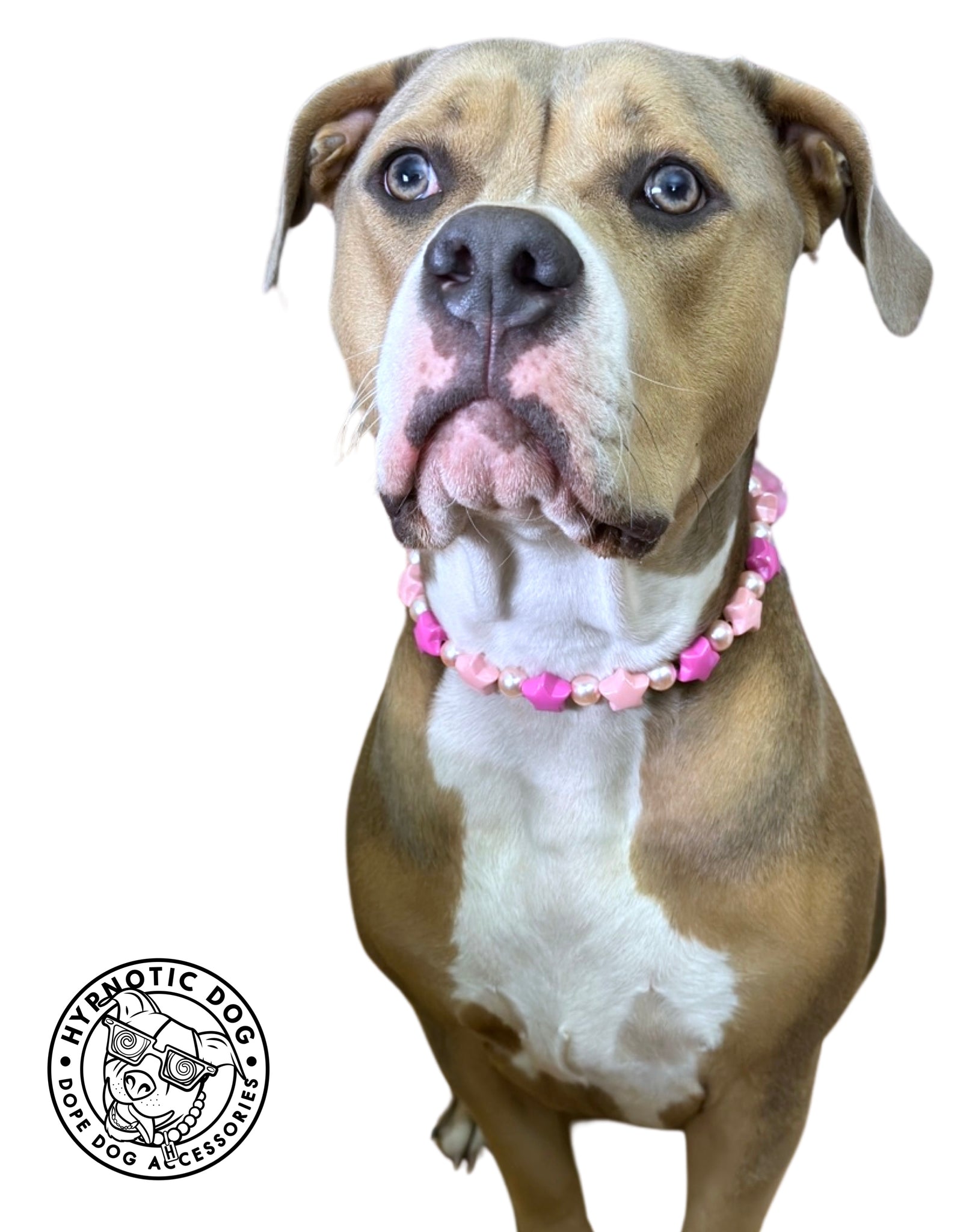 Pink Sugar Bead Collar – Hypnotic Dog