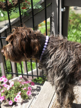 Load image into Gallery viewer, Lavender Rain Acrylic Bead Collar [Scuffed]
