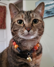 Load image into Gallery viewer, Diablo Bead Collar