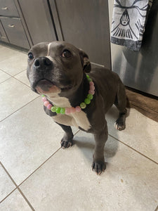 Watermelon Sugar Bead Collar