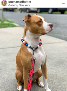 Americana Glam Bead Collar