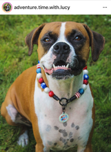 Load image into Gallery viewer, Americana Glam Bead Collar