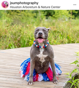 Americana Glam Bead Collar