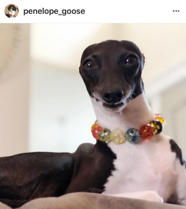 Empress Resin Bead Collar