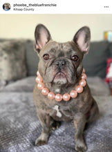 Load image into Gallery viewer, Chunky Blush Pink Pearls Acrylic Bead Collar